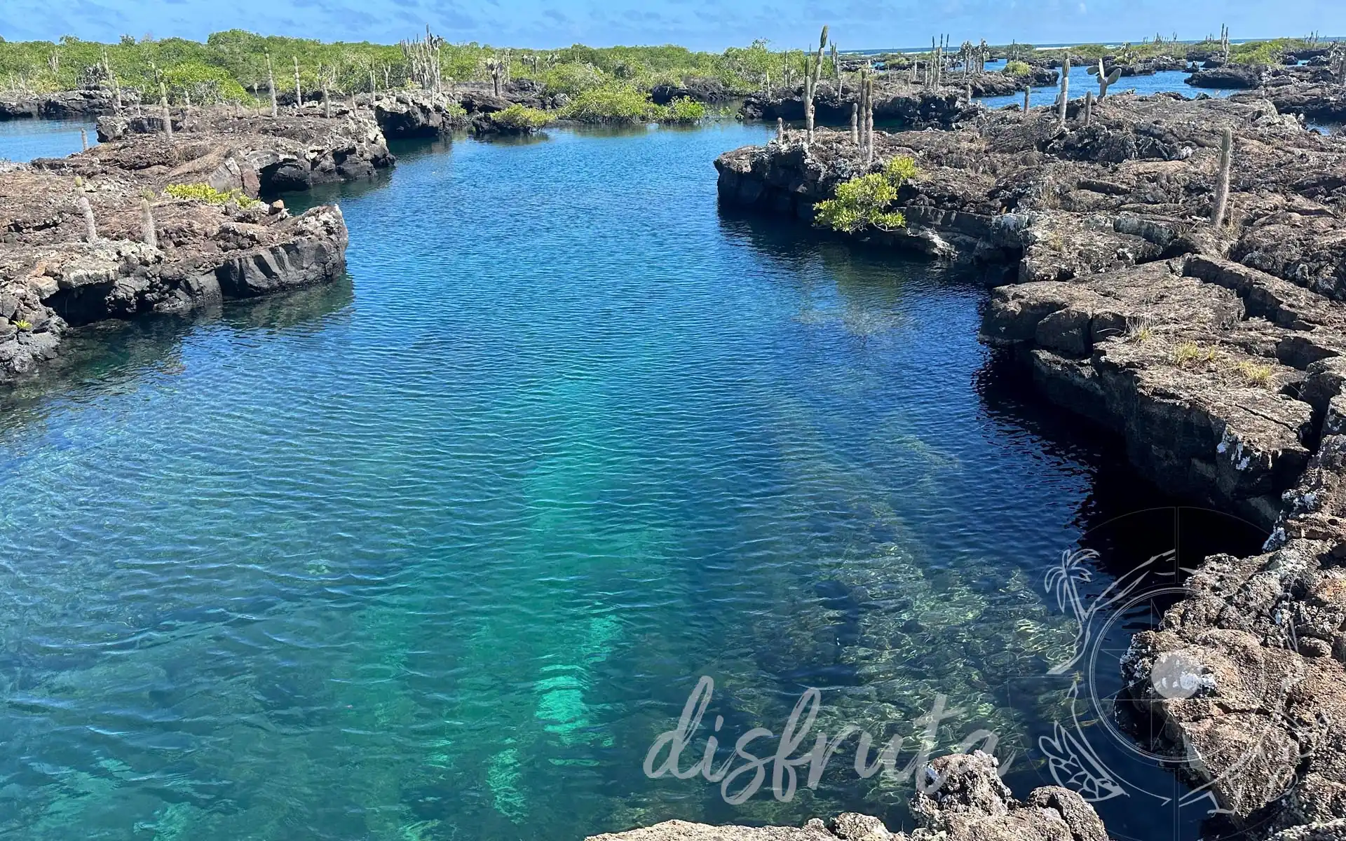 Laguna de agua cristalina entre rocas volcánicas en Galápagos