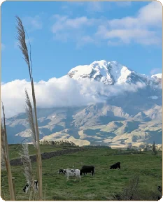 Avenida de los Volcanes