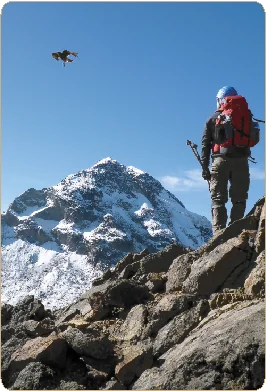Paisaje andino
