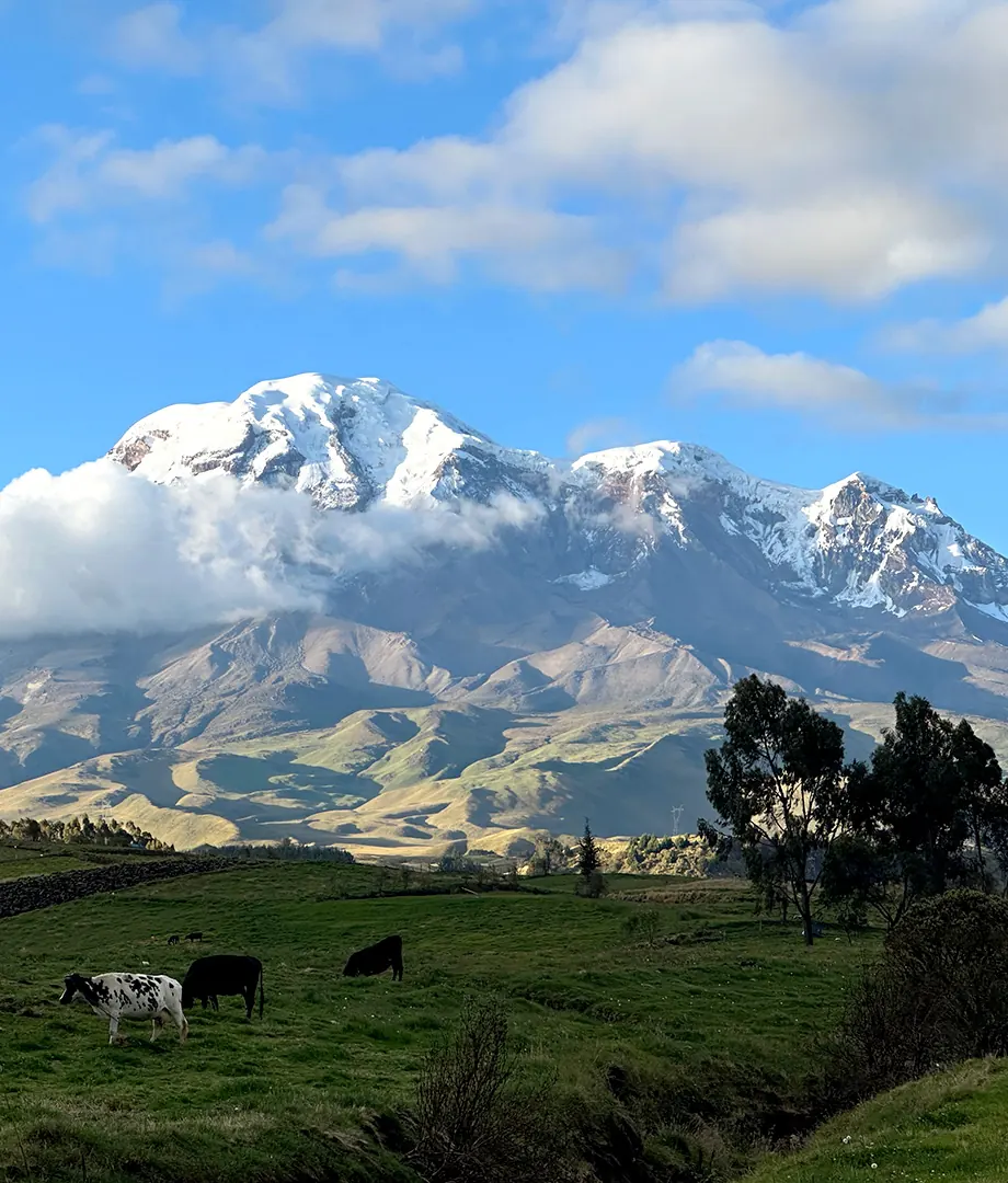 Avenida de los Volcanes