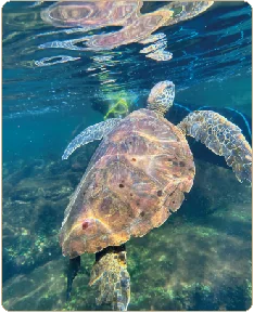 Islas Galápagos