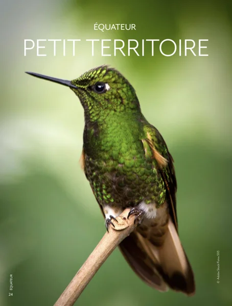 Revista Yatra — Petit Territoire Équateur