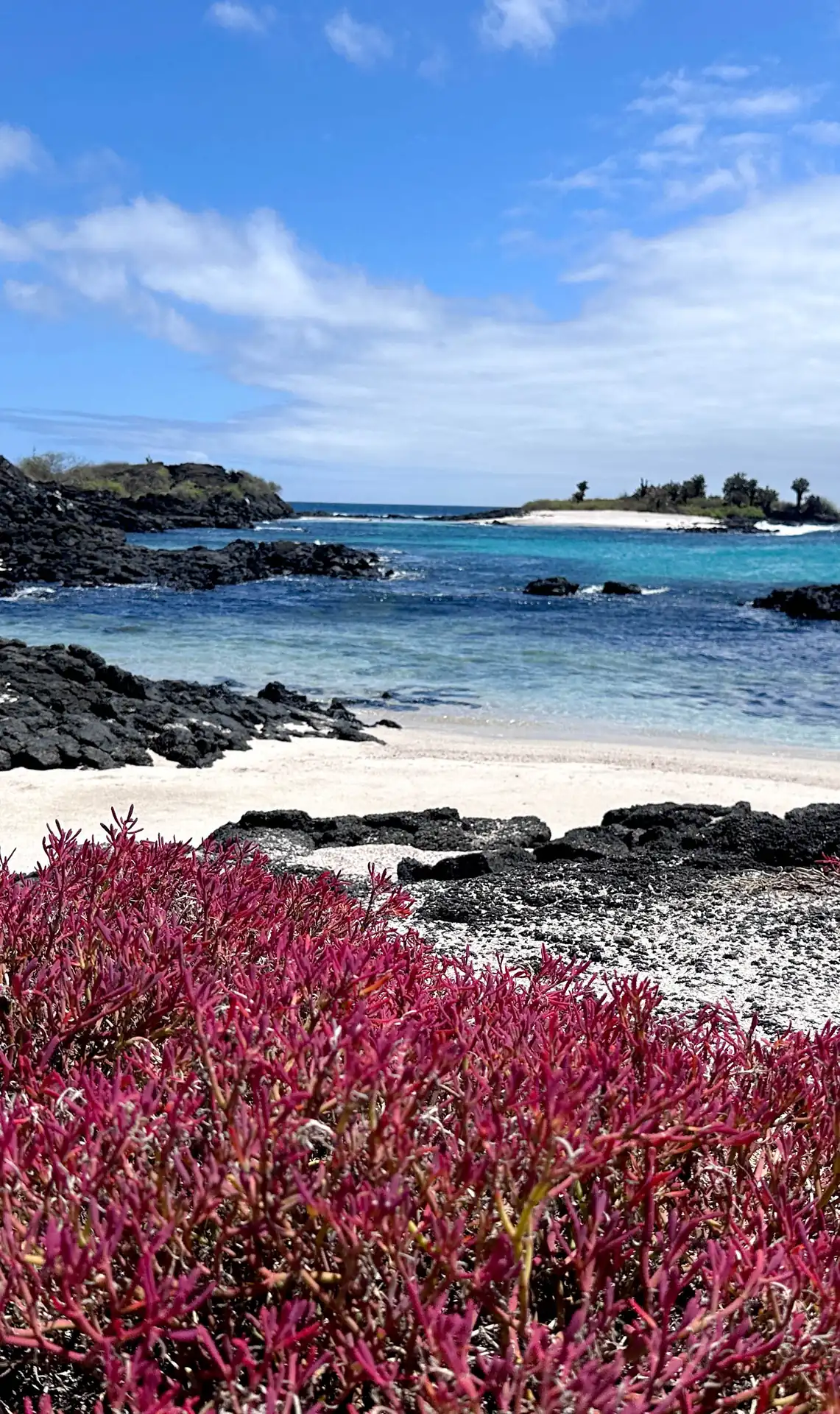 Playa de arena blanca en las Islas Galápagos